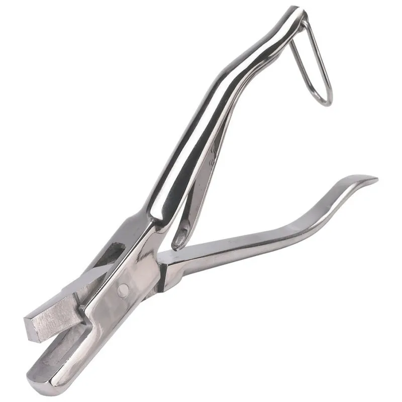 Pinza dentellata per orecchie