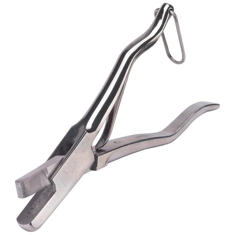 Pinza dentellata per orecchie