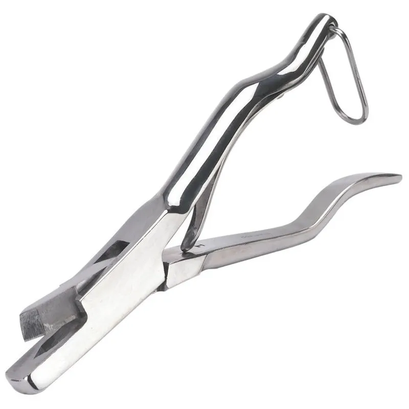 Pinza dentellata per orecchie