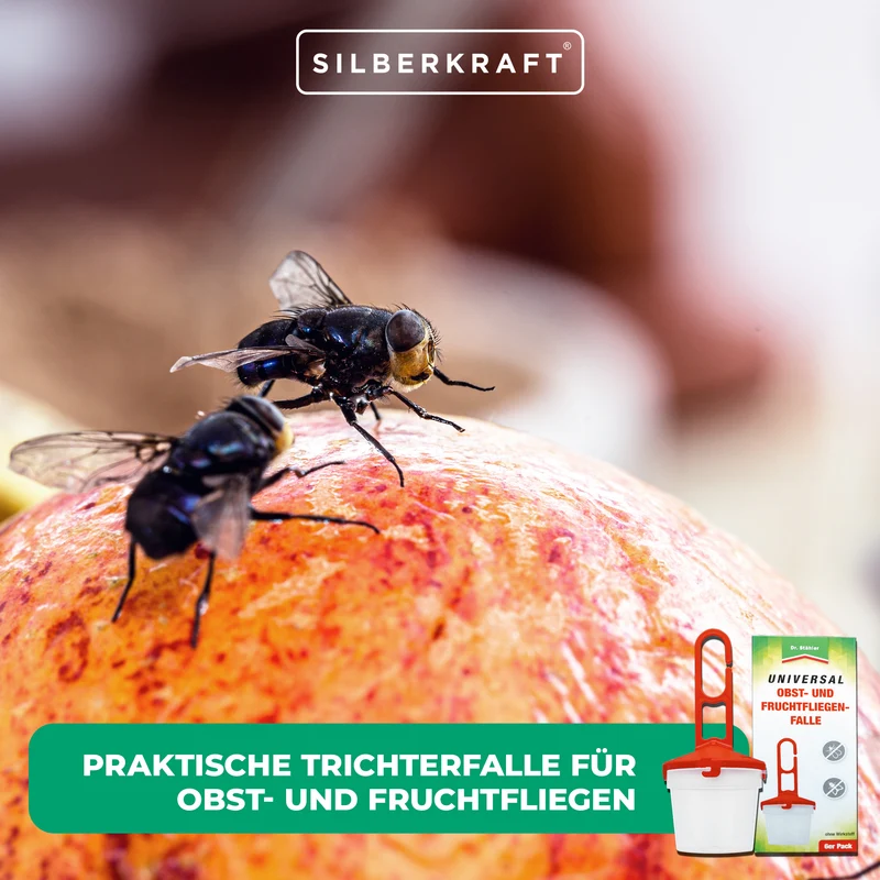 Universal Obst- und Fruchtfliegenfalle - Zum Befüllen mit einem Lockstoff gegen Fruchtfliegen