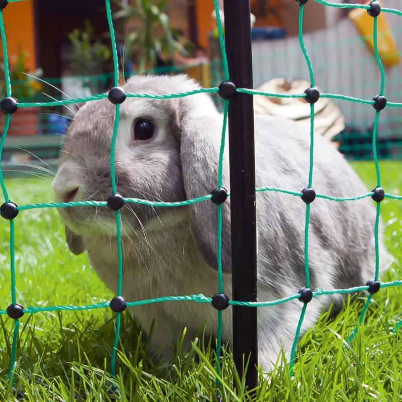 Rete elettrificabile per conigli – protezione sicura per piccoli animali