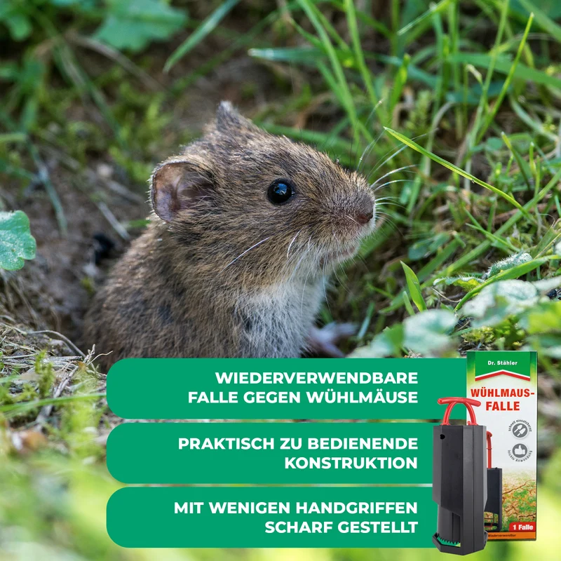 Wühlmaus-Falle: Optimaler Schutz gegen Wühlmäuse für deinen Garten (wiederverwendbar)