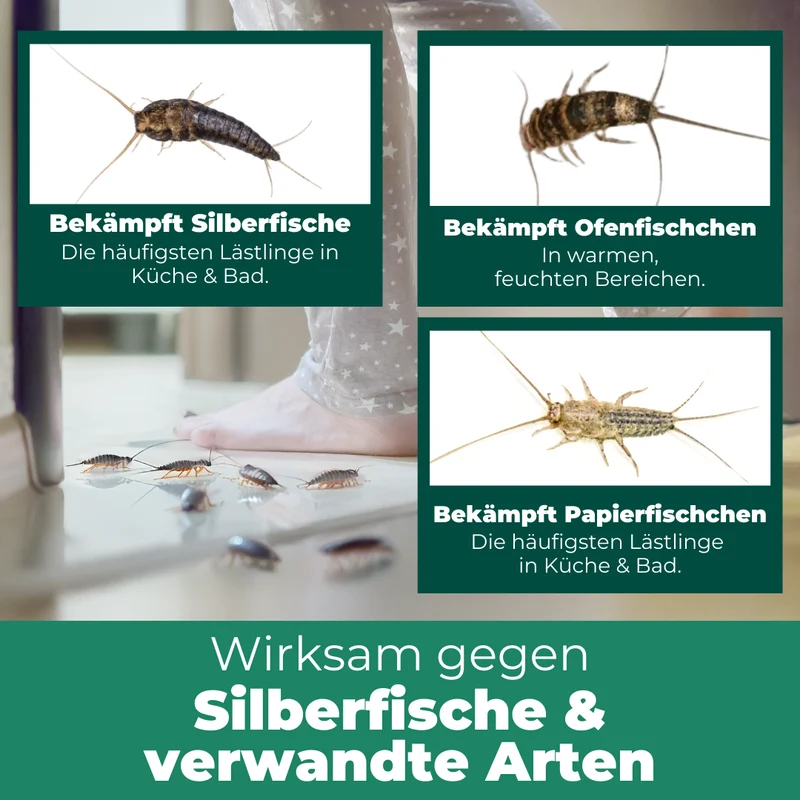 Silberfisch Köderdose: Silberfische & Papierfischchen bekämpfen in Bad, Küche & Keller