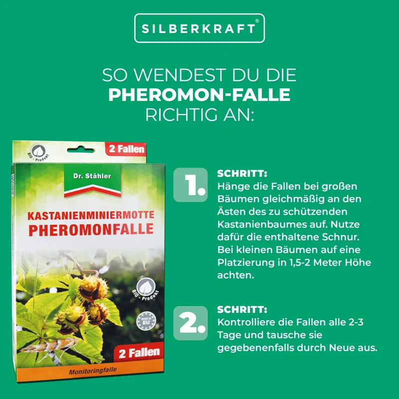 Effektive Pheromon-Falle gegen Kastanienminiermotten