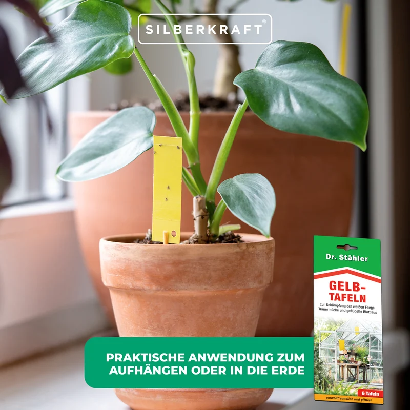 Effektive Gelb-Tafeln zur Schädlingsbekämpfung für Zimmer- und Wintergartenpflanzen