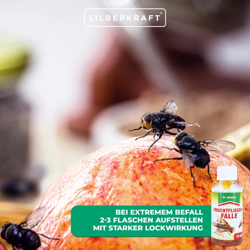Effektive Fruchtfliegenfalle gegen Frucht-, Obst- und Essigfliegen