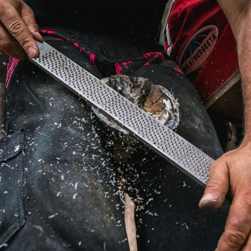Rasp per Zoccoli, Design Dritto con Taglio della Lima Extra Affilato e Profondo