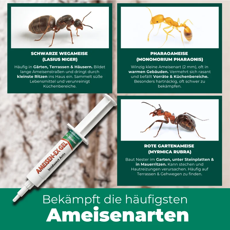 Ameisen-Ex Gel: Sofortige Lösung gegen Ameisenbefall im Innen- und Außenbereich