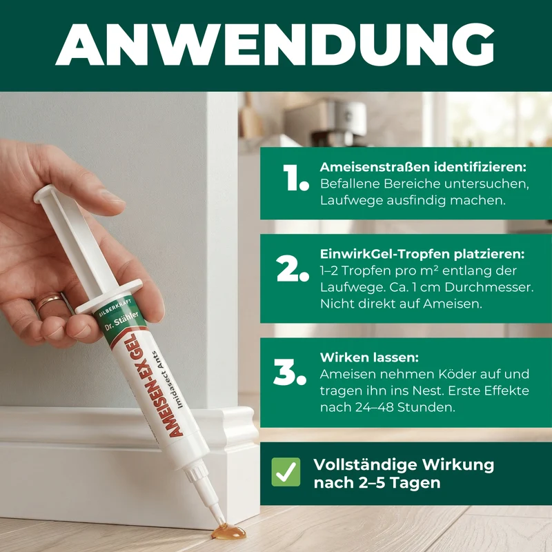 Ameisen-Ex Gel: Sofortige Lösung gegen Ameisenbefall im Innen- und Außenbereich