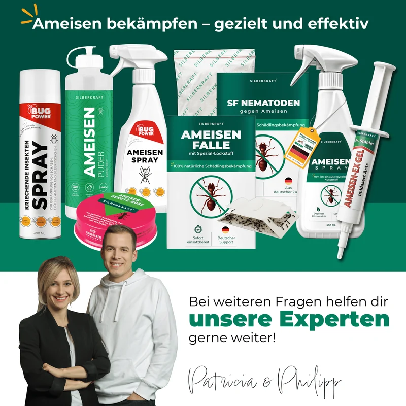 Ameisen-Ex Gel: Sofortige Lösung gegen Ameisenbefall im Innen- und Außenbereich