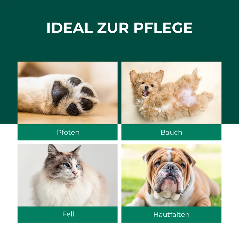 Kolloidales Silberspray 100 ml - Spray zur Wundheilung - Hautpflege bei Ungezieferbefall, Juckreiz, Infektionen, Entzündungen - für Hunde, Katzen, Nagetiere und andere Haustiere