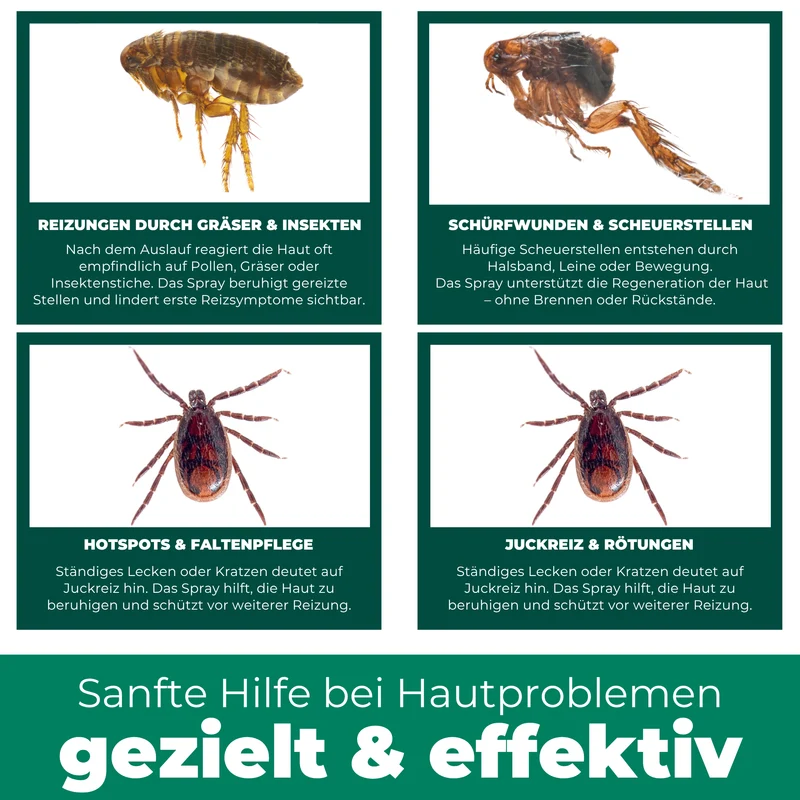 Kolloidales Silberspray 100 ml - Spray zur Wundheilung - Hautpflege bei Ungezieferbefall, Juckreiz, Infektionen, Entzündungen - für Hunde, Katzen, Nagetiere und andere Haustiere