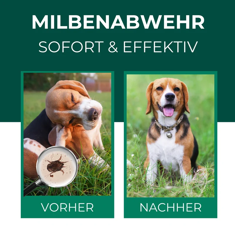 Milbenspray für Hunde