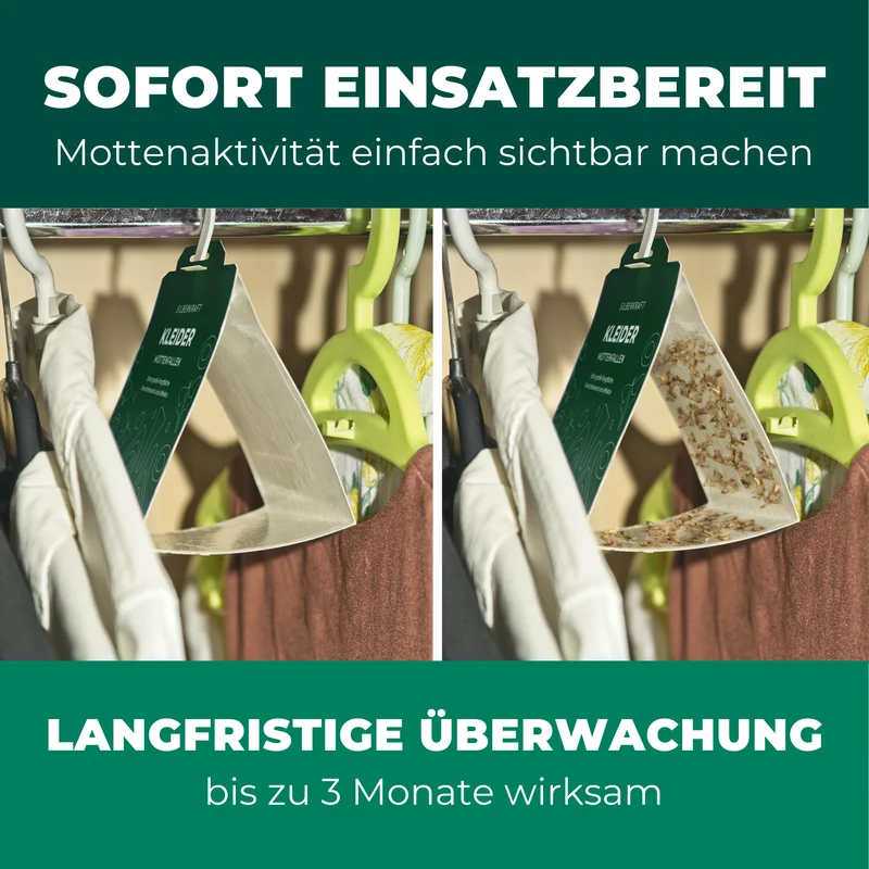 Mottenfalle 6 Stück