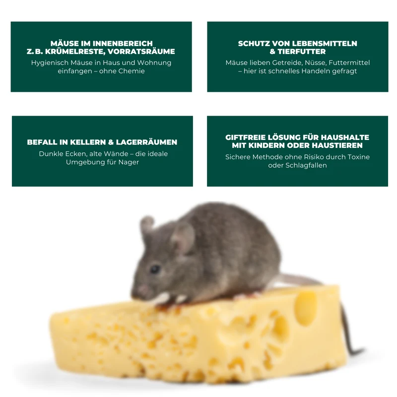 Lebendfalle für Mäuse aus Draht - Mäusefalle - tierfreundliche Alternative zu Schlagfallen und Giftköder
