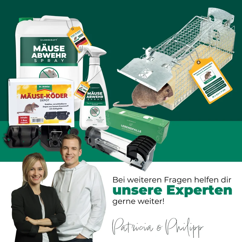 Lebendfalle für Mäuse aus Draht - Mäusefalle - tierfreundliche Alternative zu Schlagfallen und Giftköder