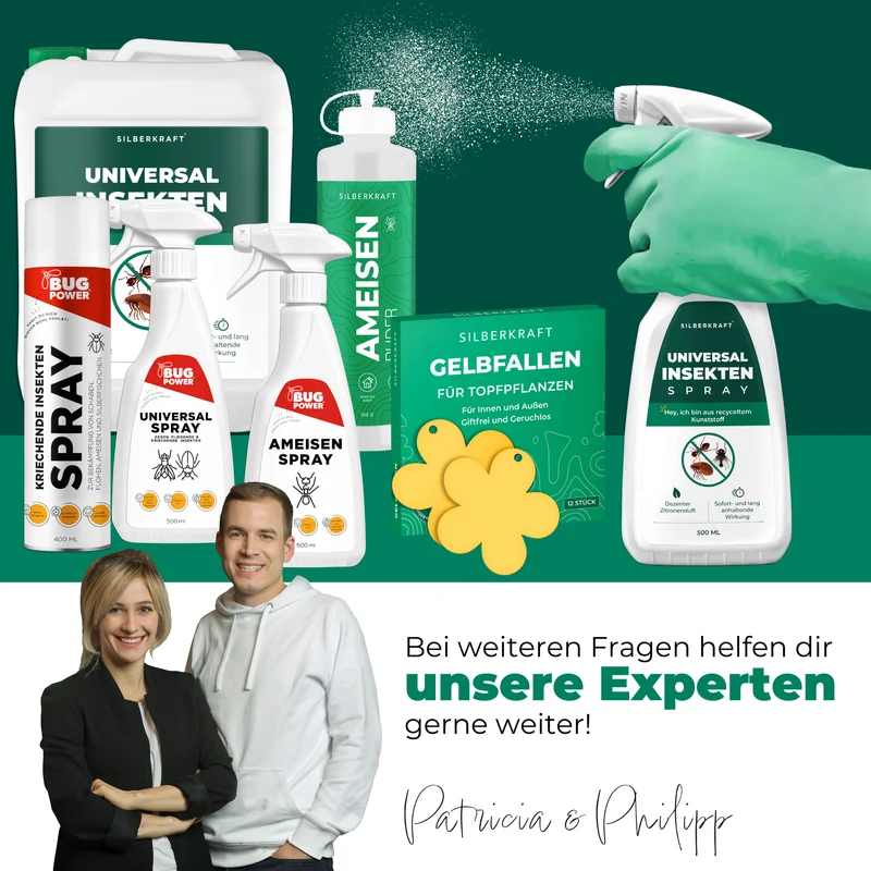 Universal Insektenspray