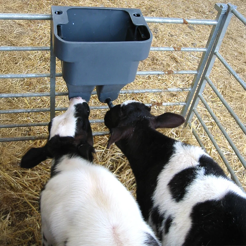 Accessori per l'allevamento dei vitelli Abbeveratoio Milkbar