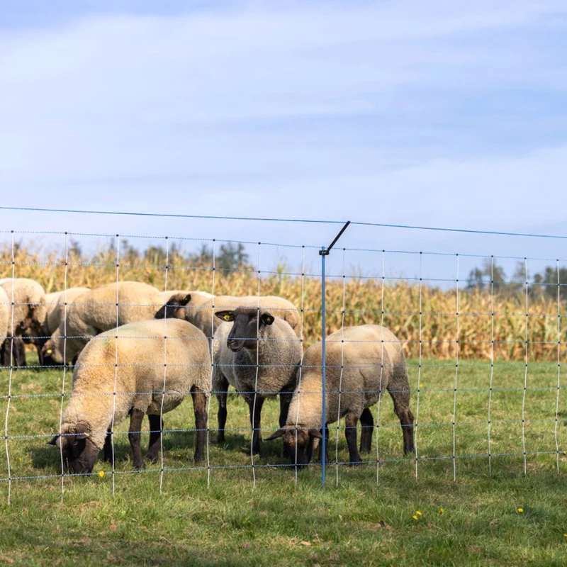 Set di estensione WolfStop per reti da pascolo – 10 pezzi