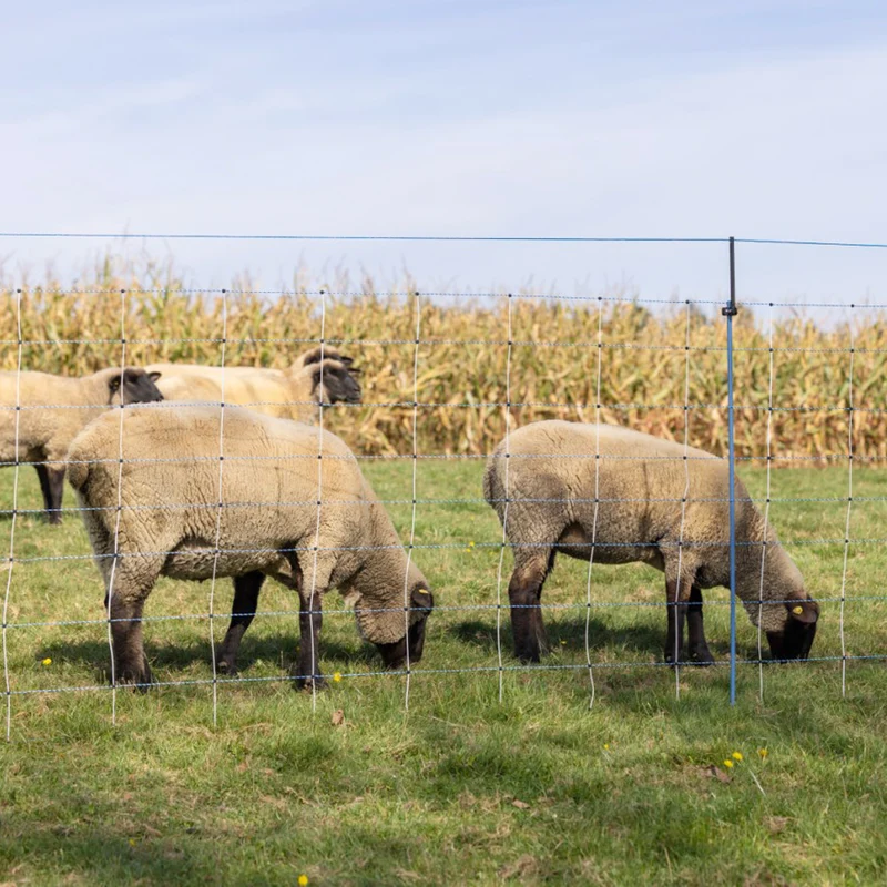 Set di estensione WolfStop per reti da pascolo – 10 pezzi