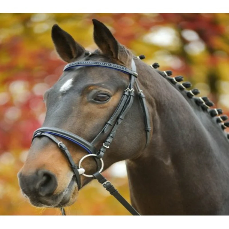 Trensenzaum Diamond Bitless Bridle con Strass | Disponibile in Vari Colori e Misure