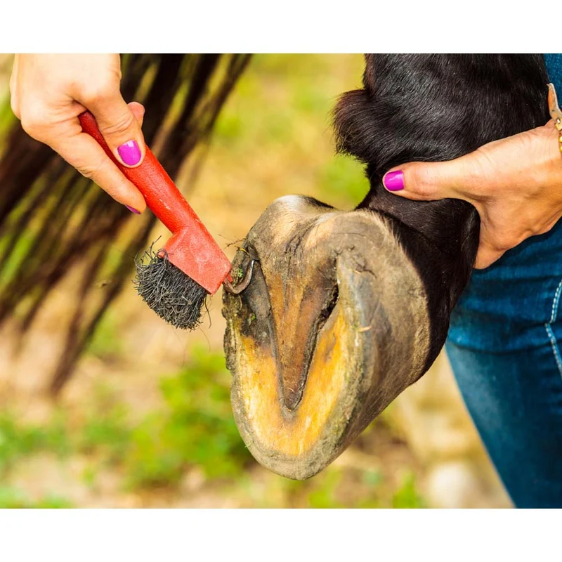 Nettapiede cavallo in plastica con spazzola