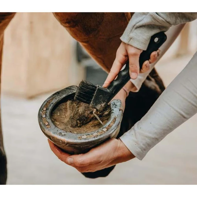 Nettapiede cavallo in plastica con spazzola