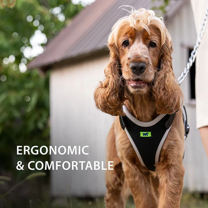 ERGOCOMFORT P - Pettorina Ergonomica con Microregolazione