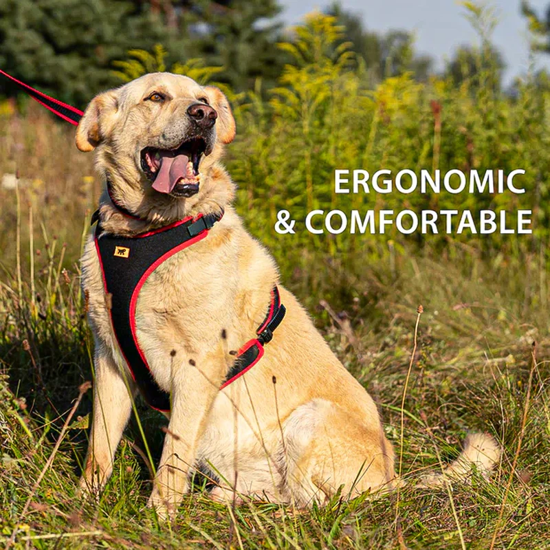 ERGOCOMFORT P - Pettorina Ergonomica con Microregolazione