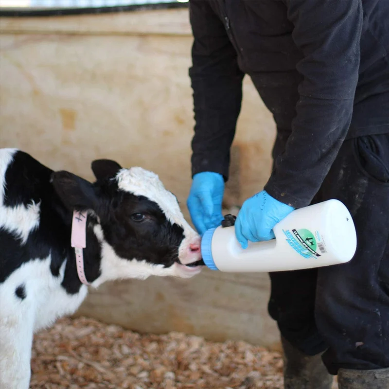 Accessori per l'allevamento dei vitelli Biberon Speedy Feeder