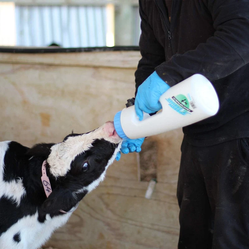 Accessori per l'allevamento dei vitelli Biberon Speedy Feeder