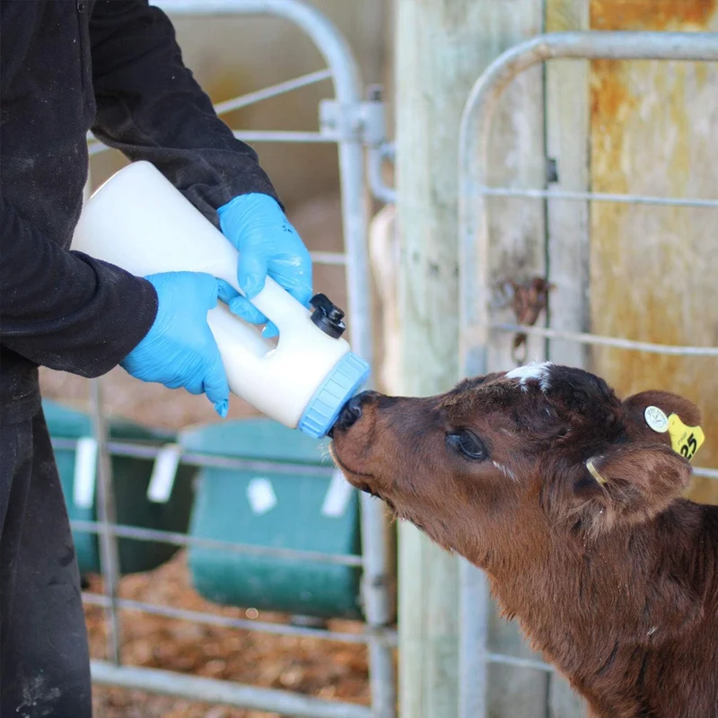Accessori per l'allevamento dei vitelli Biberon Speedy Feeder