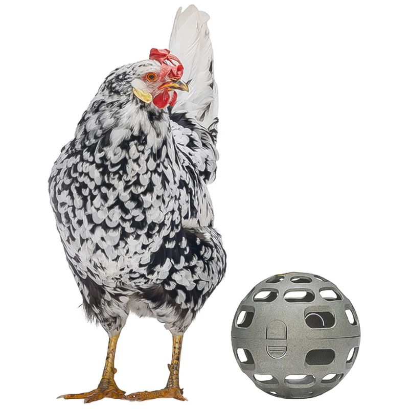 Palla Snack per Galline - 100% Plastica Riciclata | Ø 150mm | Ecologica