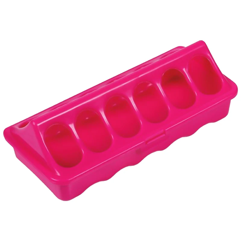 Alimentatore a Terra - 20 CM (Rosa) per Polli e Uccelli Piccoli