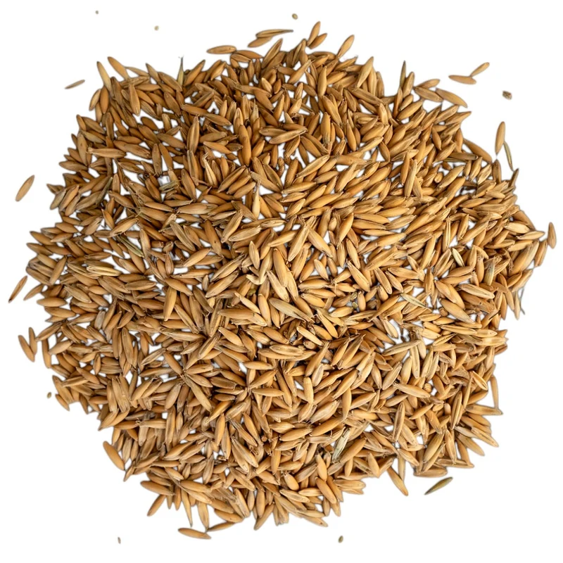 Beikircher Mangimi – Chicchi di avena (Sfuso/Big Bag/30kg)