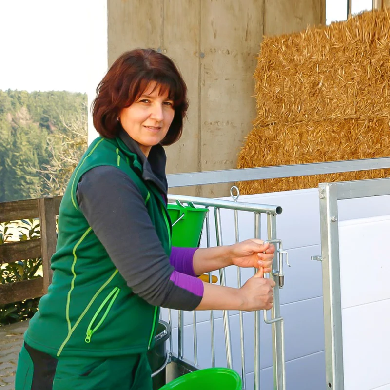 Box per vitelli con griglia antiscivolo e pannelli PVC