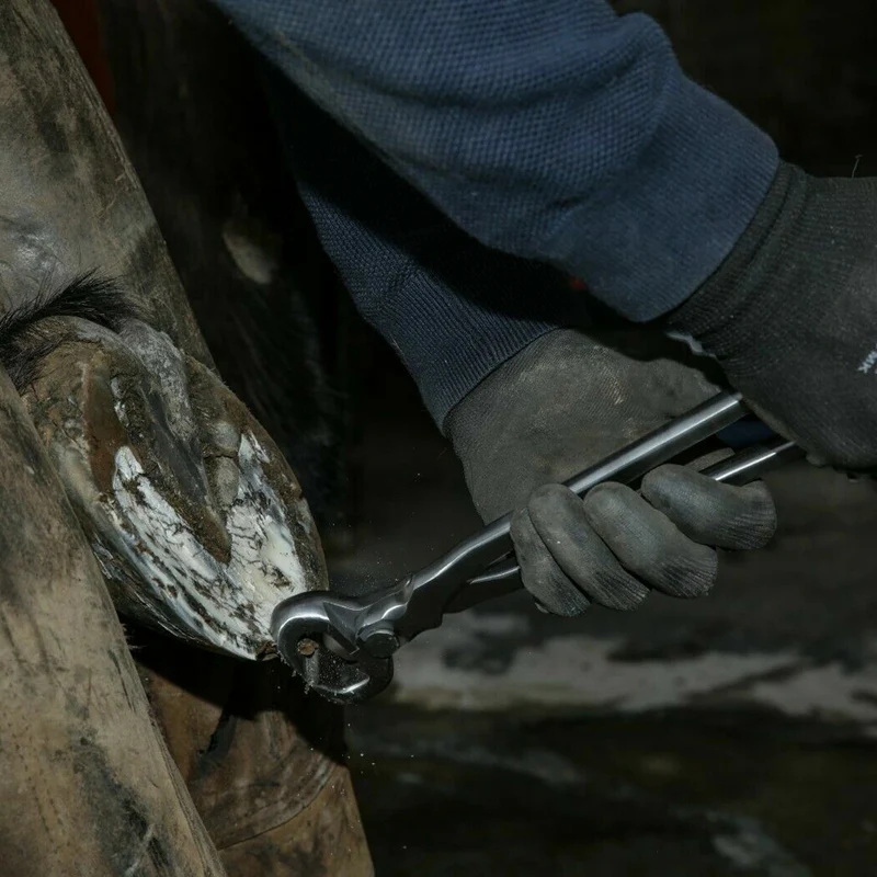 Knipex tenaglia da pareggio - cura degli zoccoli per bovini | strumento professionale 30 cm