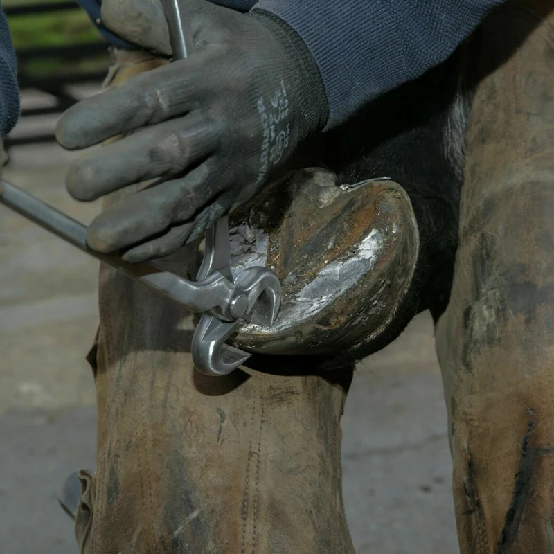 Knipex tenaglia da pareggio - cura degli zoccoli per bovini | strumento professionale 30 cm