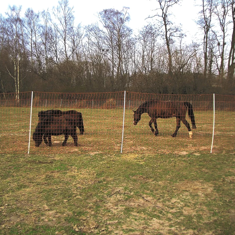Euro Mustang 145/2 50 mt netto