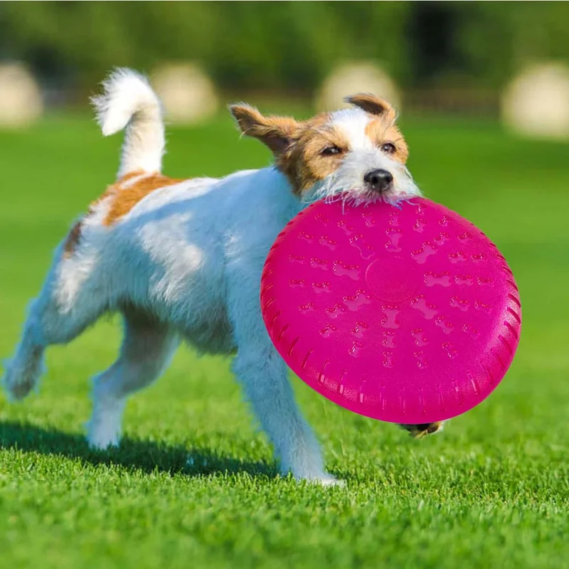 Frisbee ToyFastic in Gomma Termoplastica