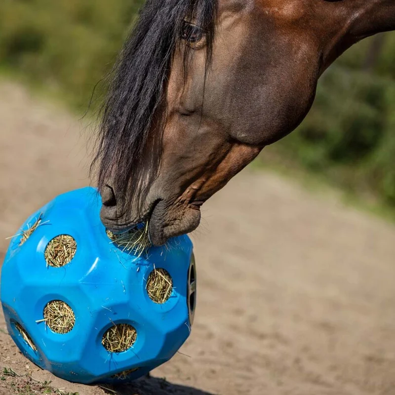 Accessori per vitelli HeuBoy Sfera di alimentazione