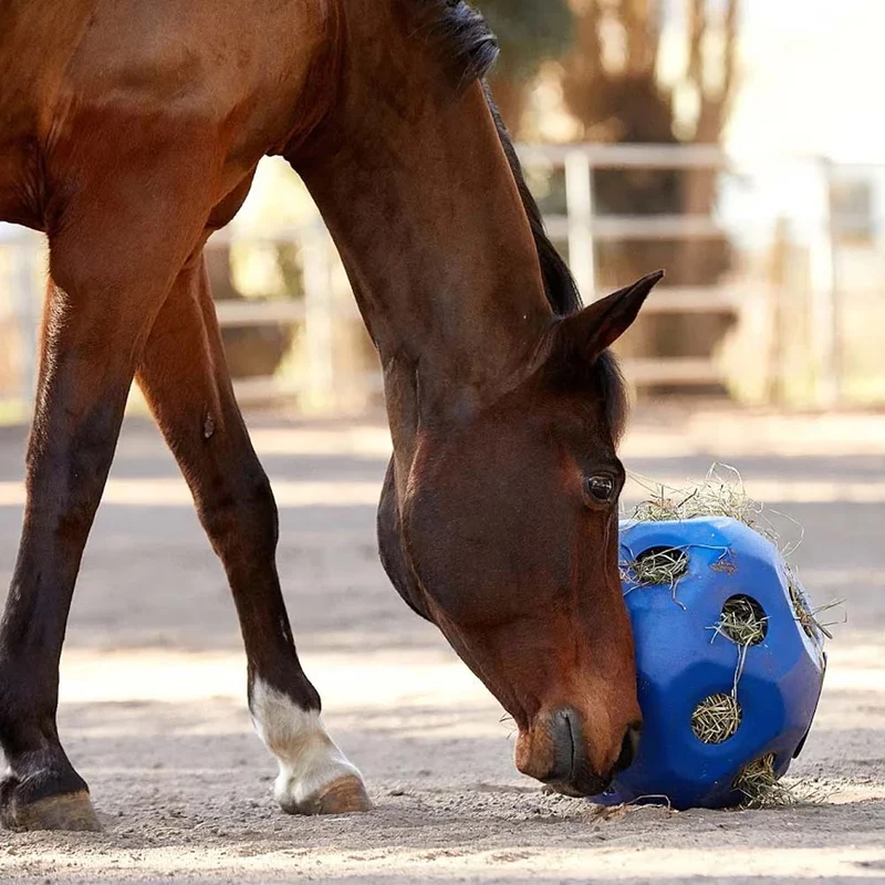 Accessori per vitelli HeuBoy Sfera di alimentazione