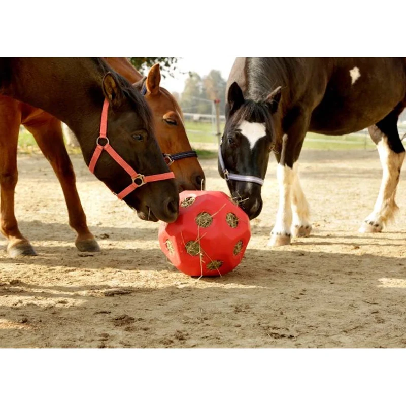 Accessori per vitelli HeuBoy Sfera di alimentazione