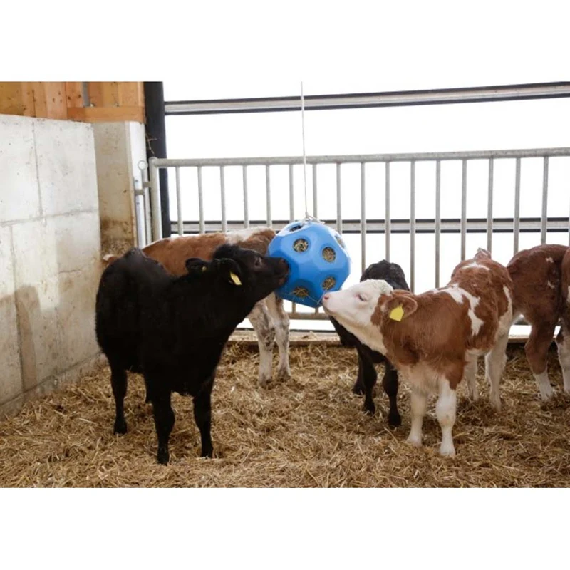 Accessori per vitelli HeuBoy Sfera di alimentazione