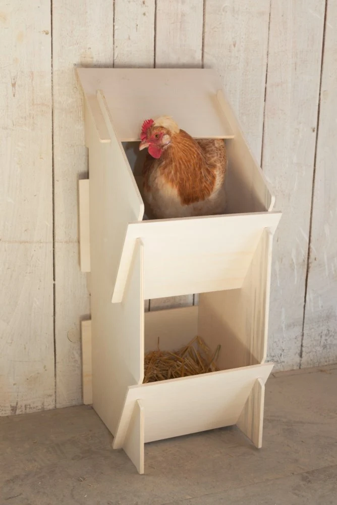 Nido in legno per galline per deposizione