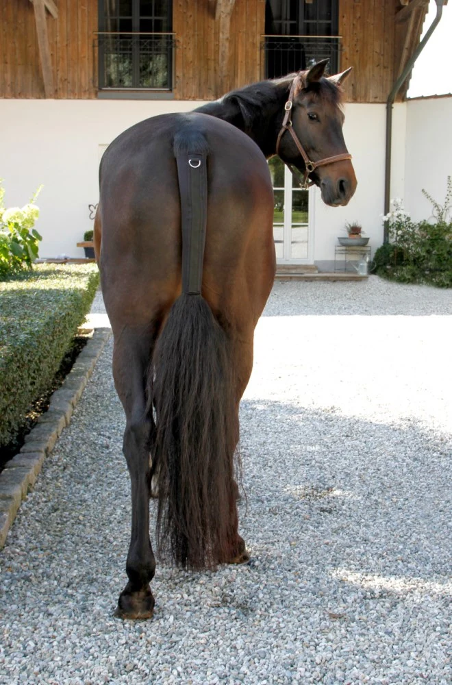 Paracoda in caucciù sintetico con chiusura a strappo per cavallo