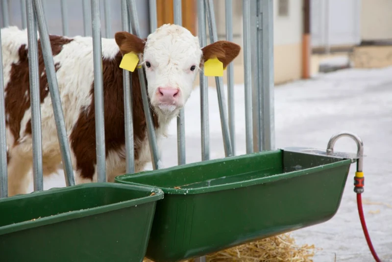 Mangiatoia in Plastica Lunga con Valvola a Galleggiante per Animali