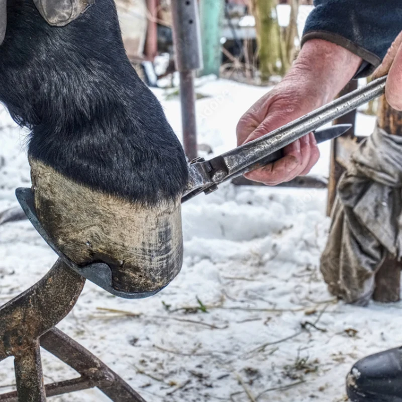 Tenaglia a coccodrillo per stringere chiodi ferratura