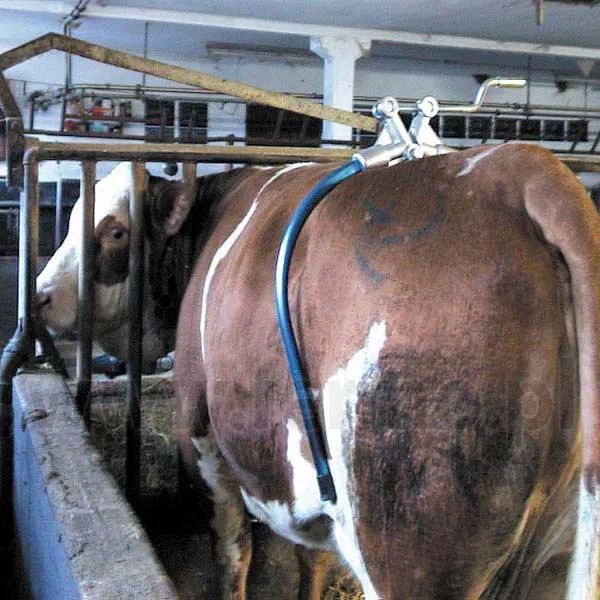 Anticalci Per Bovini Modello Amerika