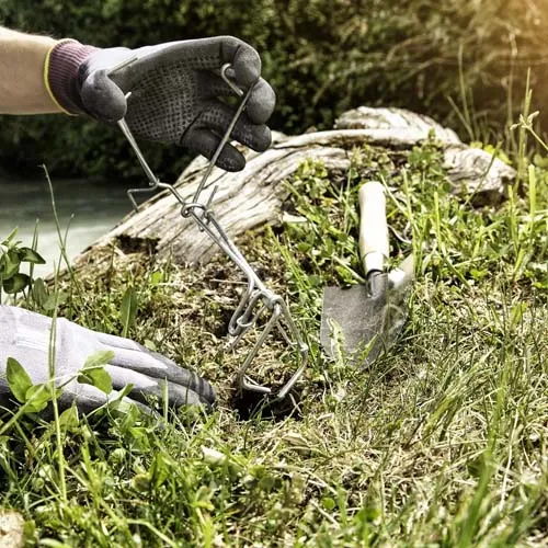 Mola Trappola Per Arvicole - Volex Wolff